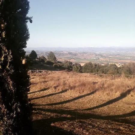 Poggio Dei Signorelli Torgiano