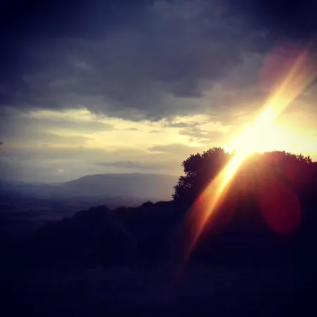 Poggio Dei Signorelli *